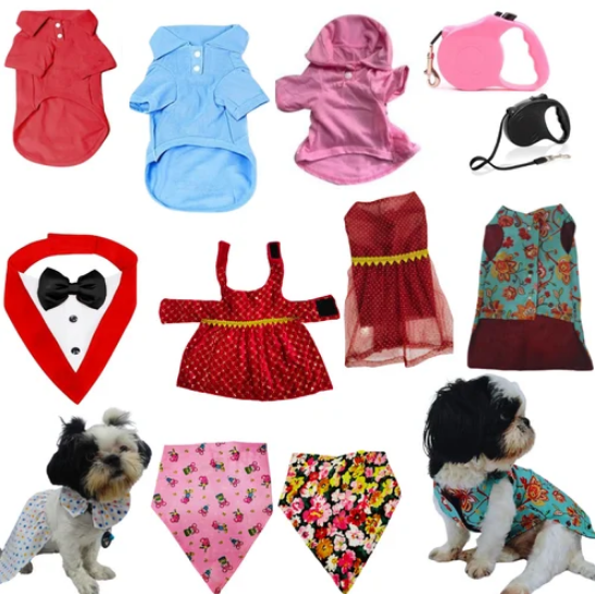 Costume
